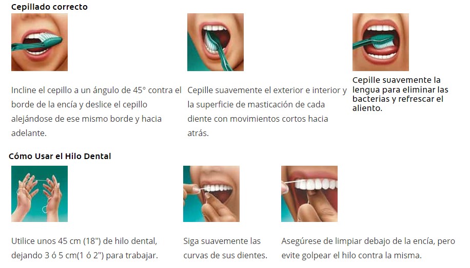 Pasos Para Mantener Una Correcta Higiene Bucal Phb Vrogue Co